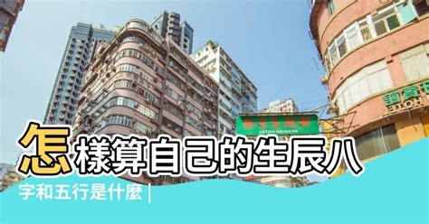 五行怎麼算|生辰八字查詢，生辰八字五行查詢，五行屬性查詢